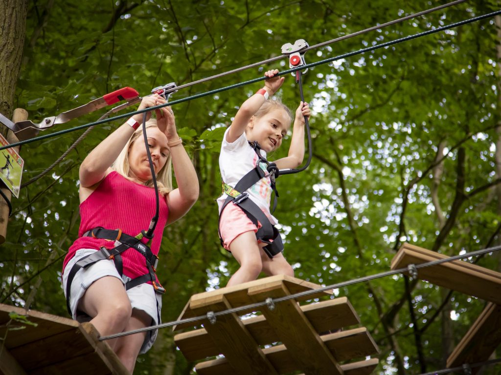 Go Ape at Dalby Forest