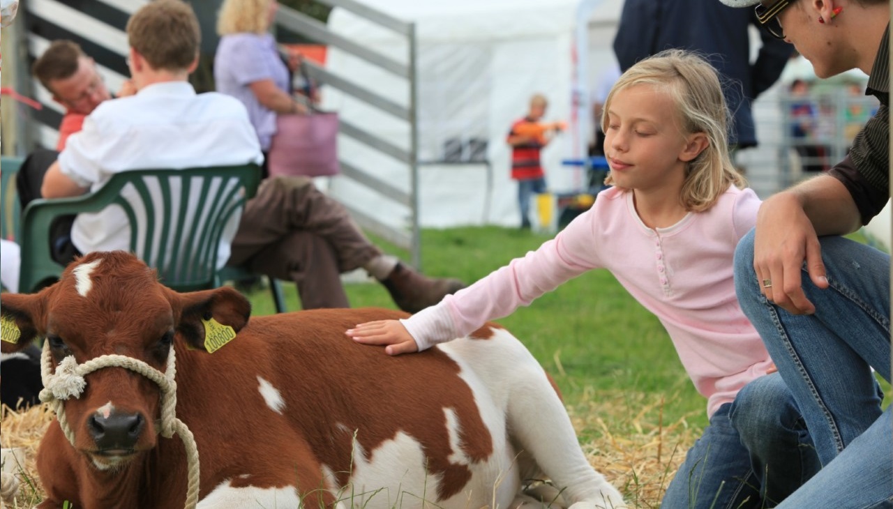 Agricultural Show Animals