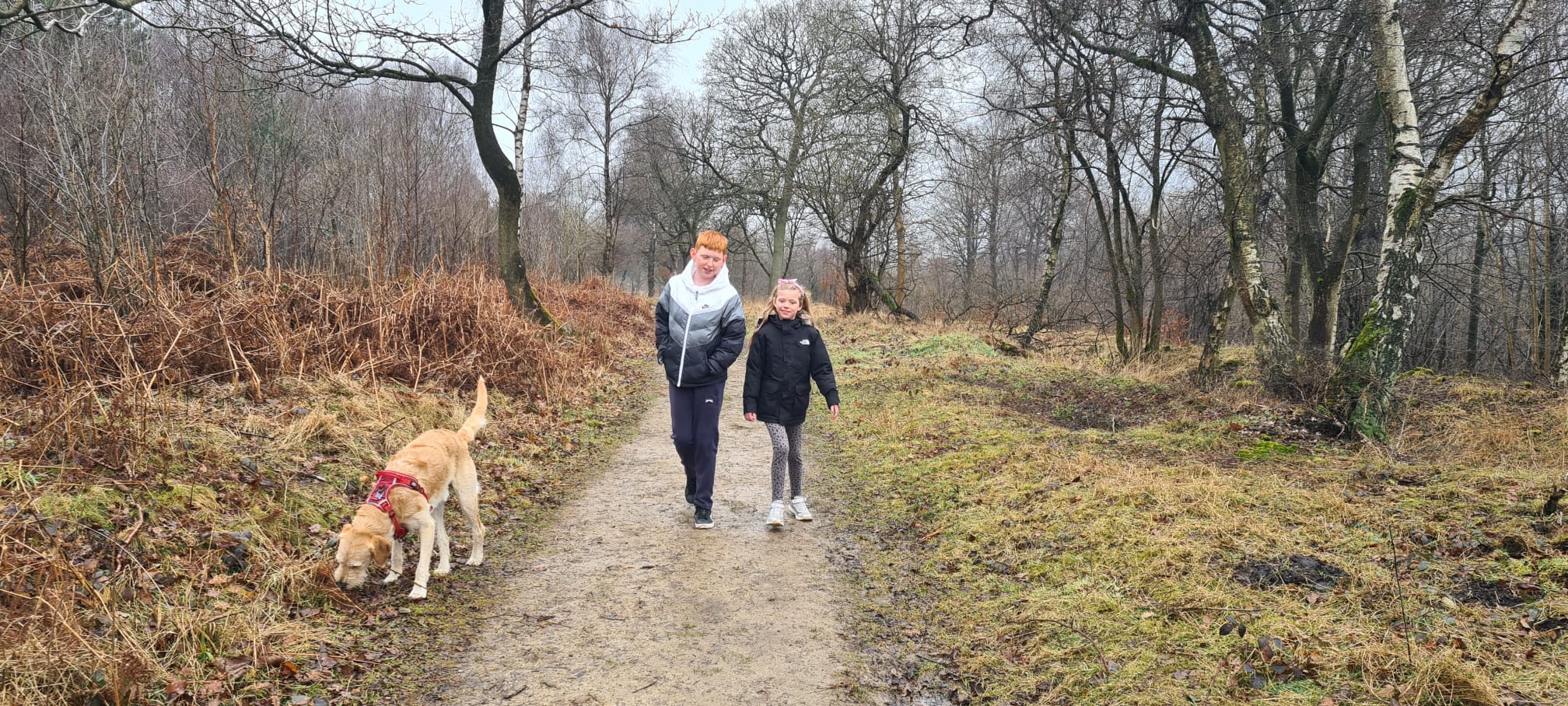 Dalby Forest Trails