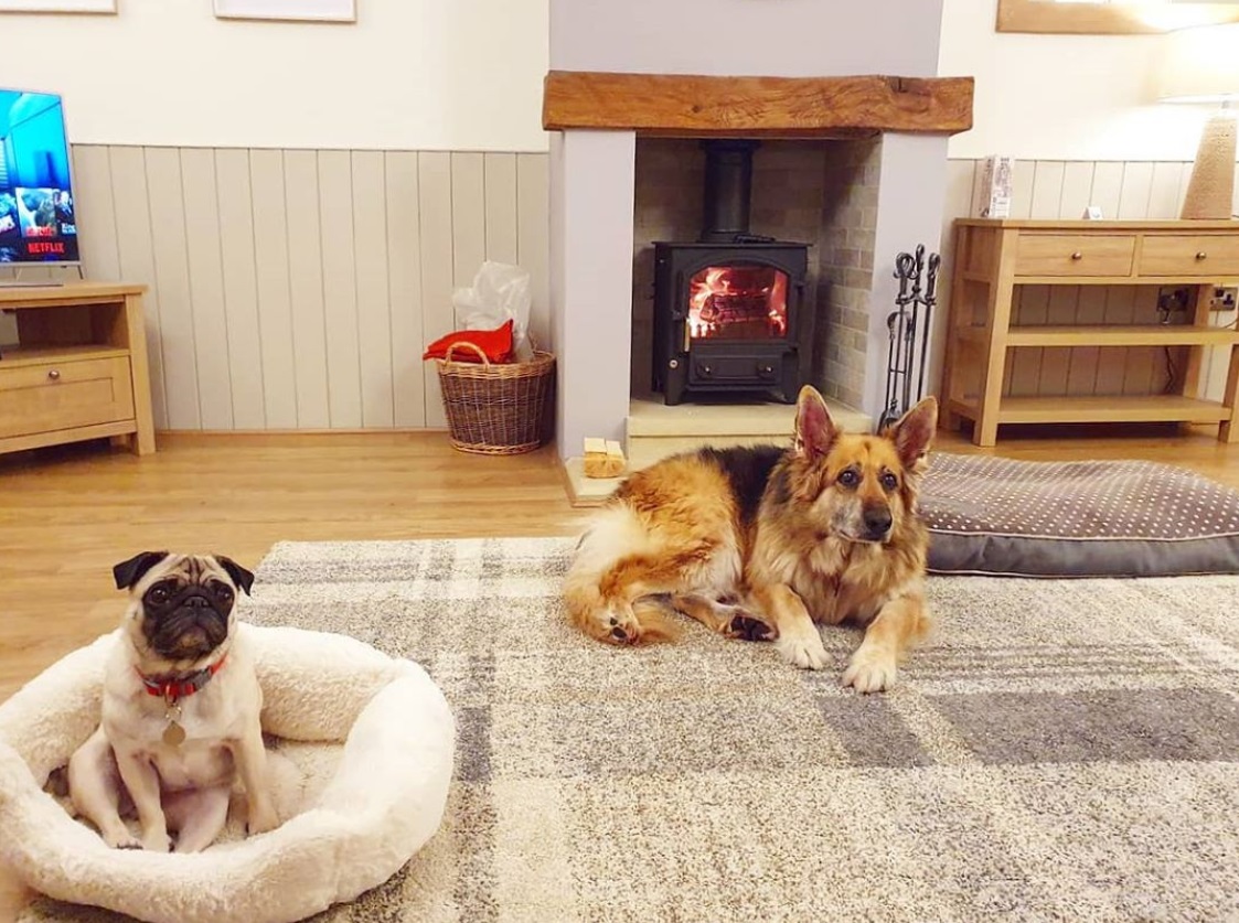Dog Friendly Holidays Yorkshire