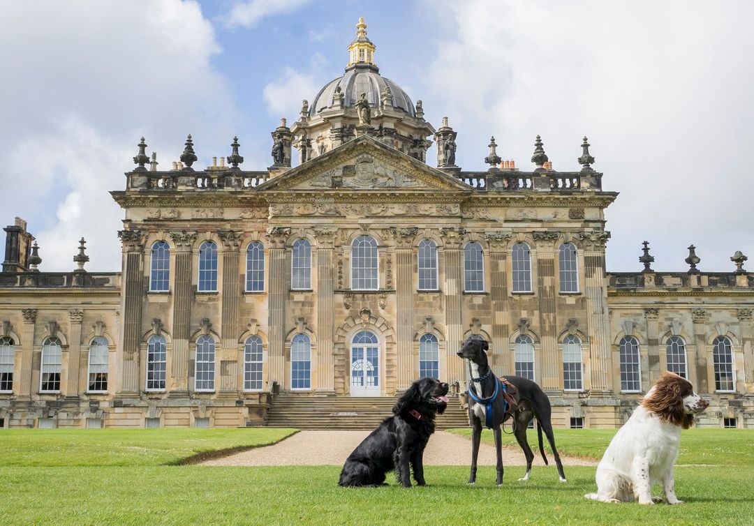 Dogs at Castle Howard