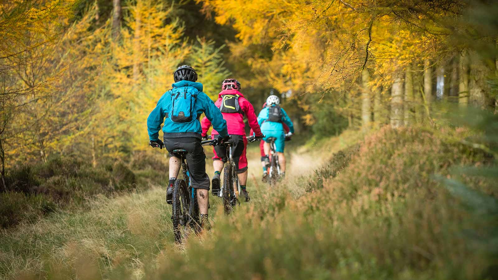 Bike Hire Dalby Forest