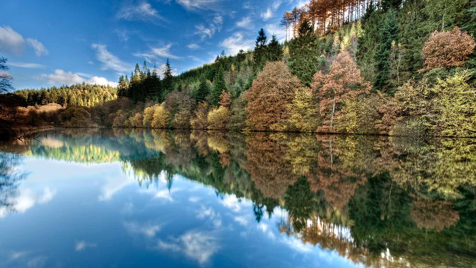 Dalby Forest North Yorkshire