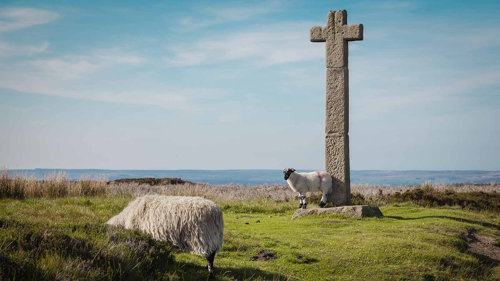 North York Moors National Park