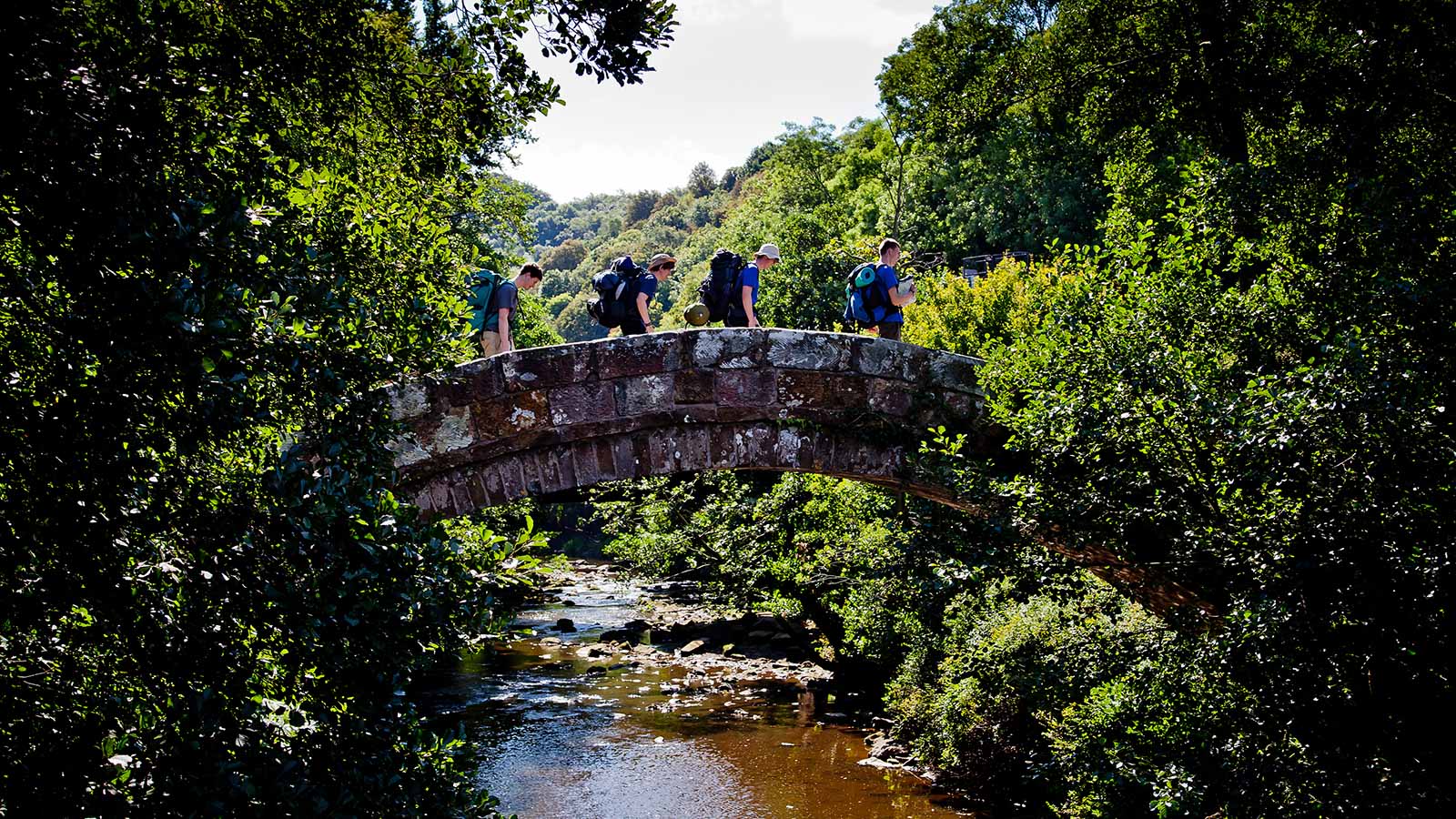 Bird Watching in the North York Moors