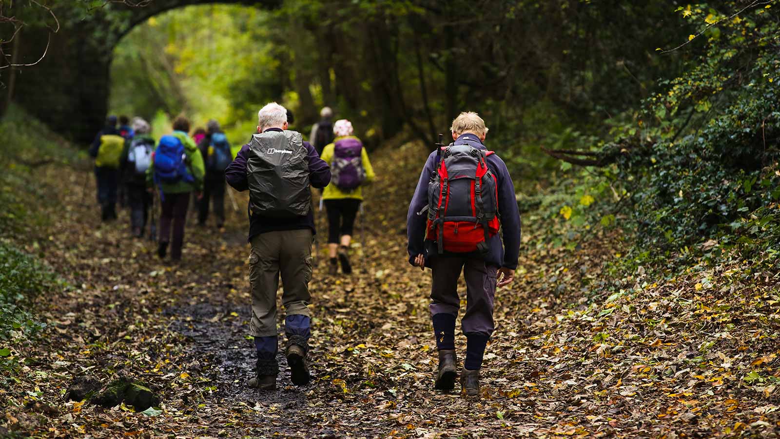 Walking Routes - Thornton le Dale to Ellerburn